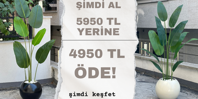 THM Outlet