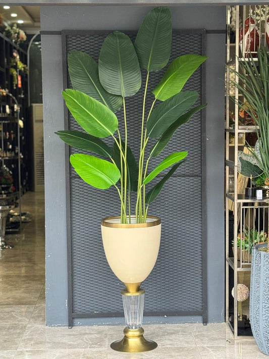 Starliçeli Antik Saksı Şeffaf Ayaklı