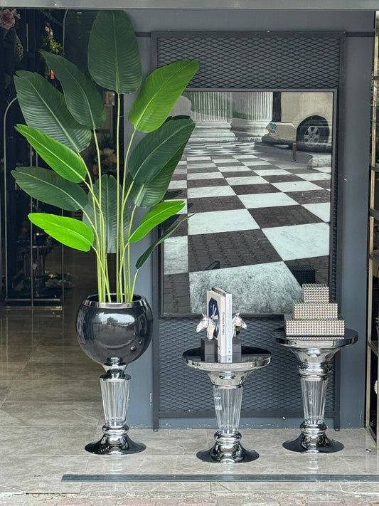 Starliçeli Gümüş Saksı Şeffaf Ayaklı